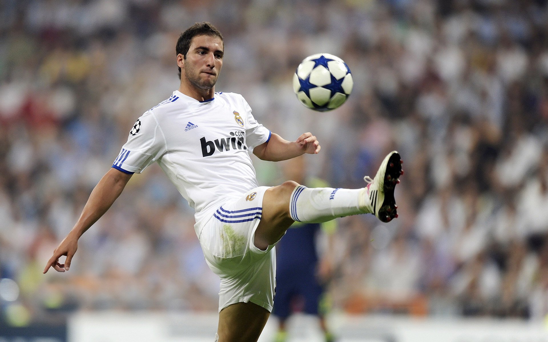 _极地雪地越野：穿越冰雪荒原的极速冲刺_，雪地极地服